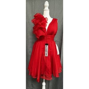 NWT- Mac Duggal corsage detailed shirred skater dress - Retail $278- Size 2